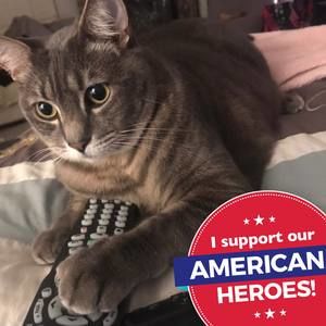 Meet your Posher, Beth